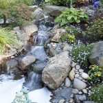 waterfall with natural stone and plants