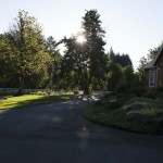 driveway with trees and lawn in shade