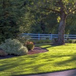 lawn and landscaping in front of white fence