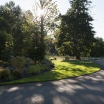 landscaped area with trees and plants with dappled sunshine