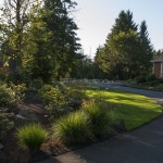 landscaped area with trees and plants next to curved sidewalk