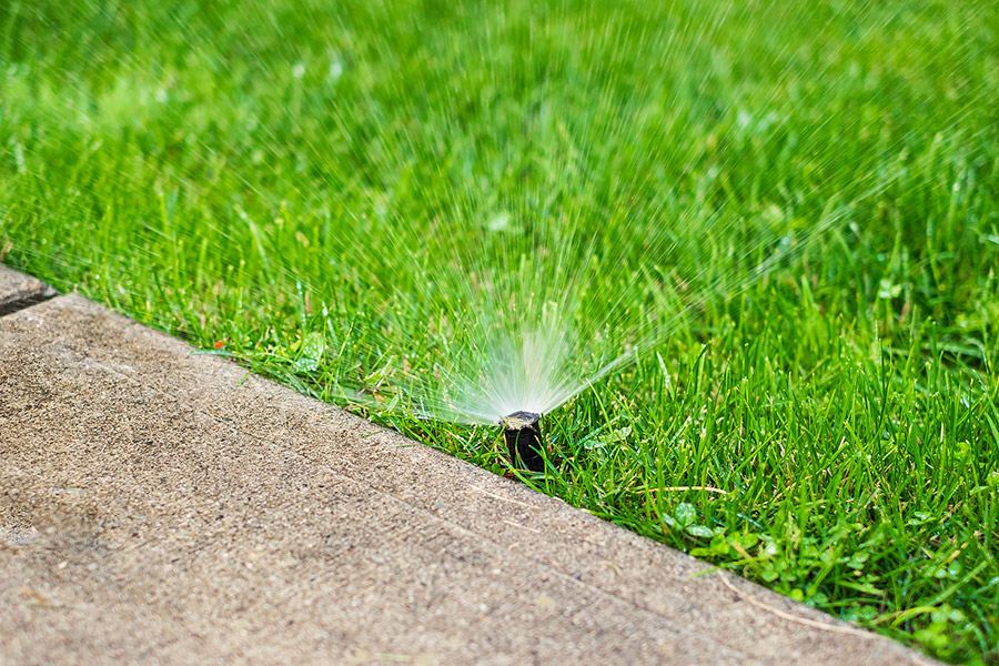 Sprinkler head watering a lush green lawn