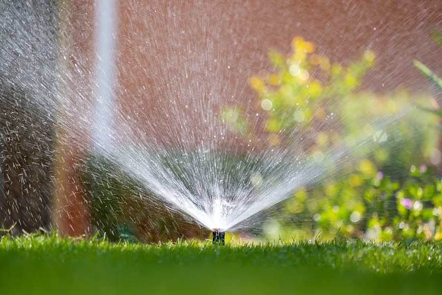 Sprinkler watering a lawn in the sunshine